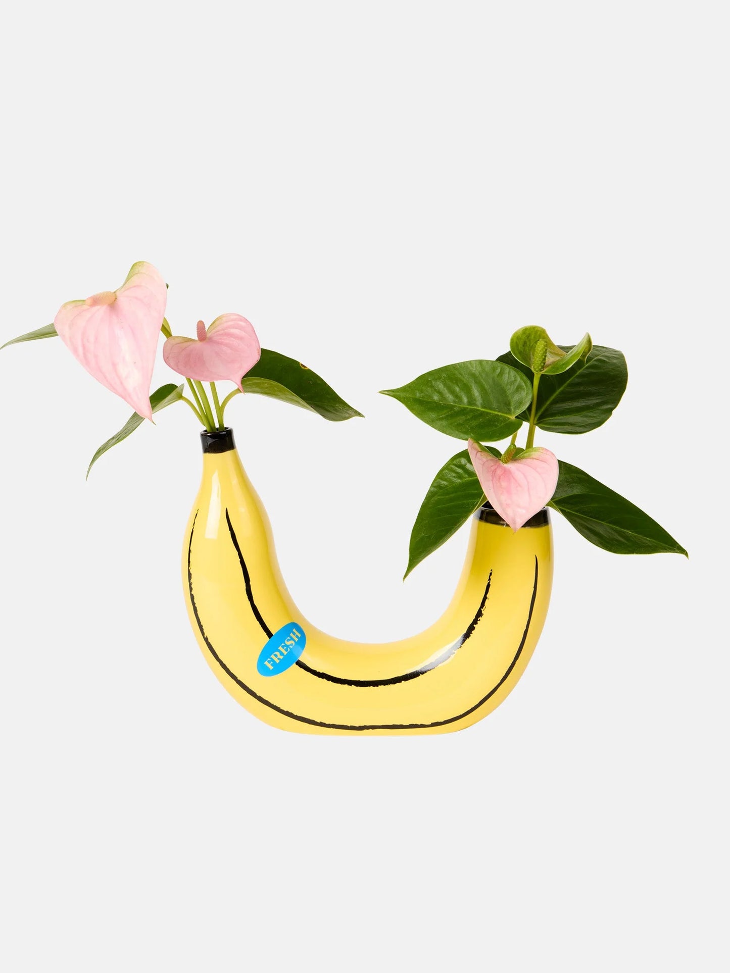 Vase Banana