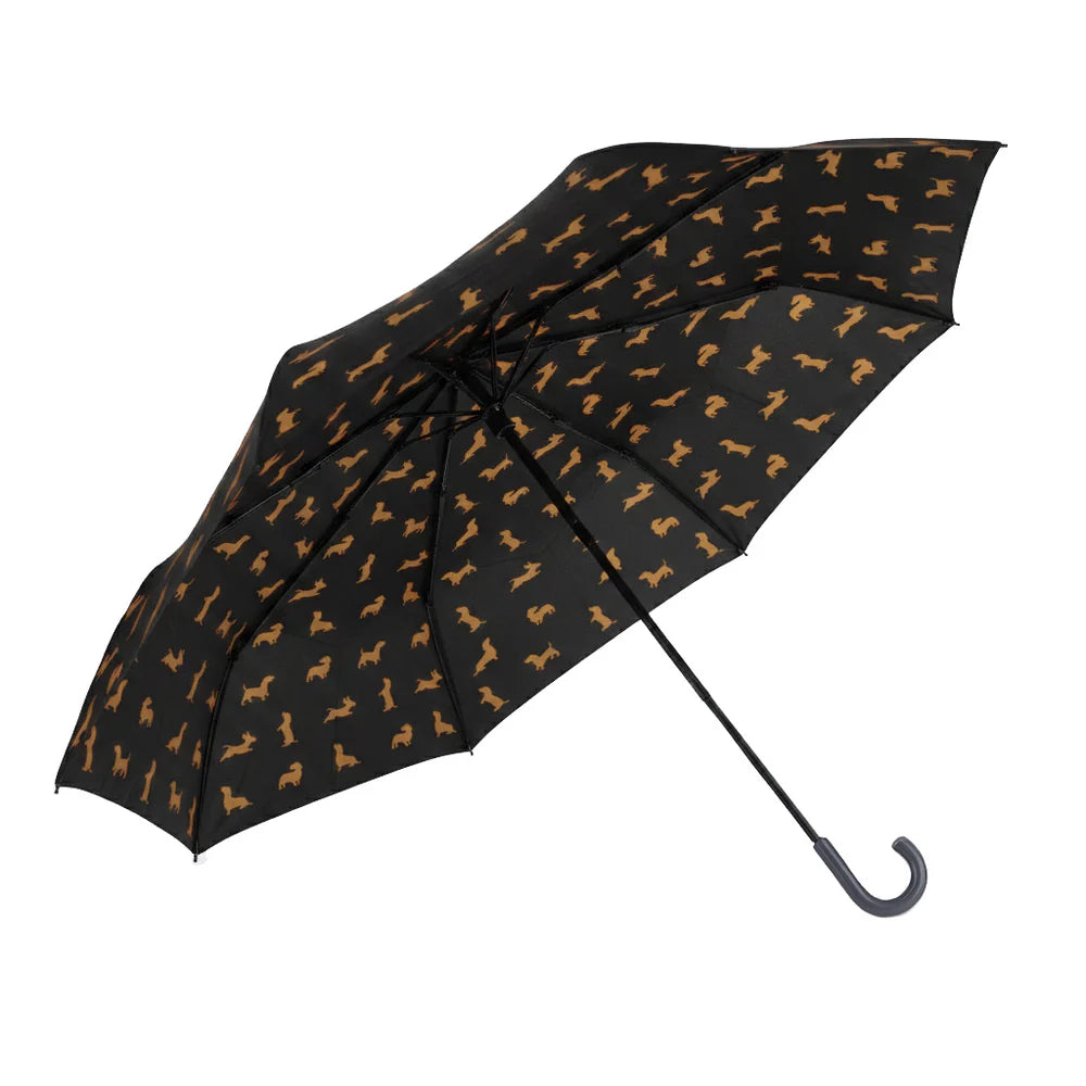 Parapluie Teckel - Noir