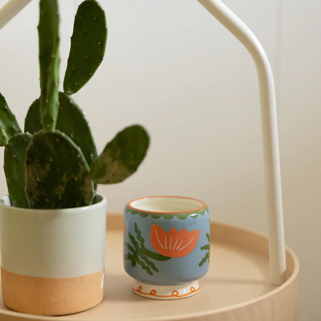 Bougie Adopo - Cactus Flower