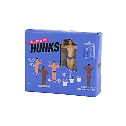 Décoration De Plante - Hunks
