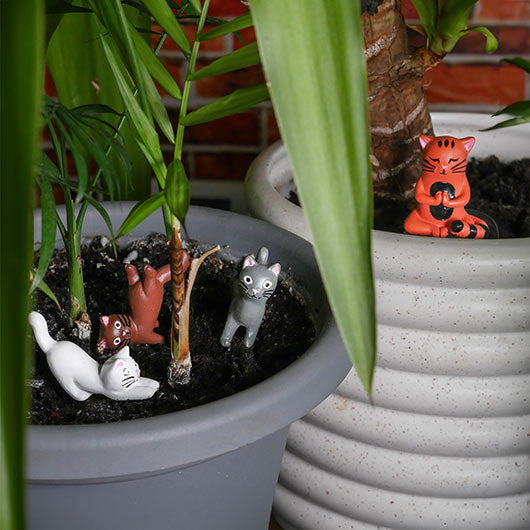 Décoration De Plante - Yoga Cats