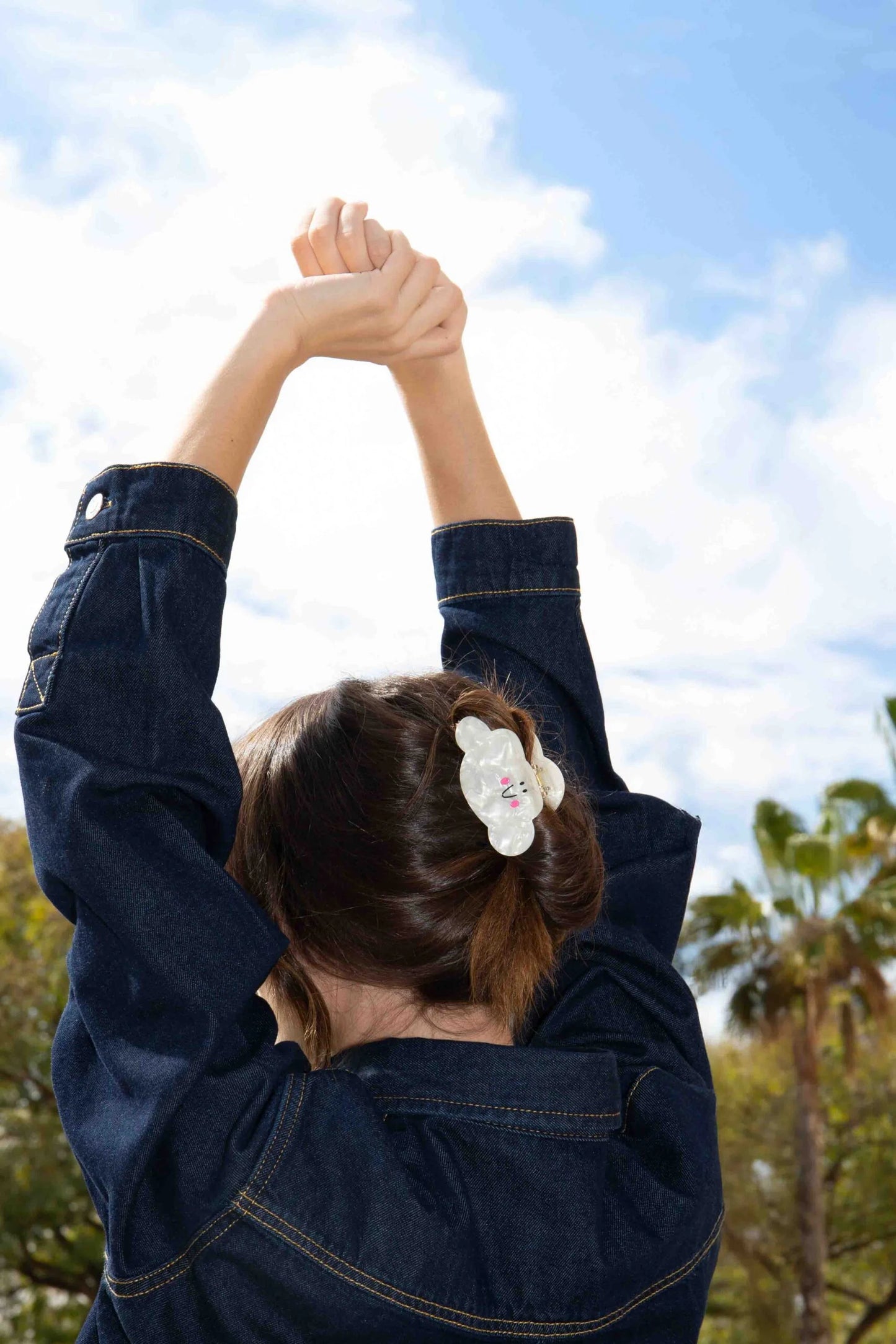 Pince À Cheveux Nuage