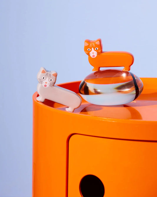 Salière & Poivrière - Chat