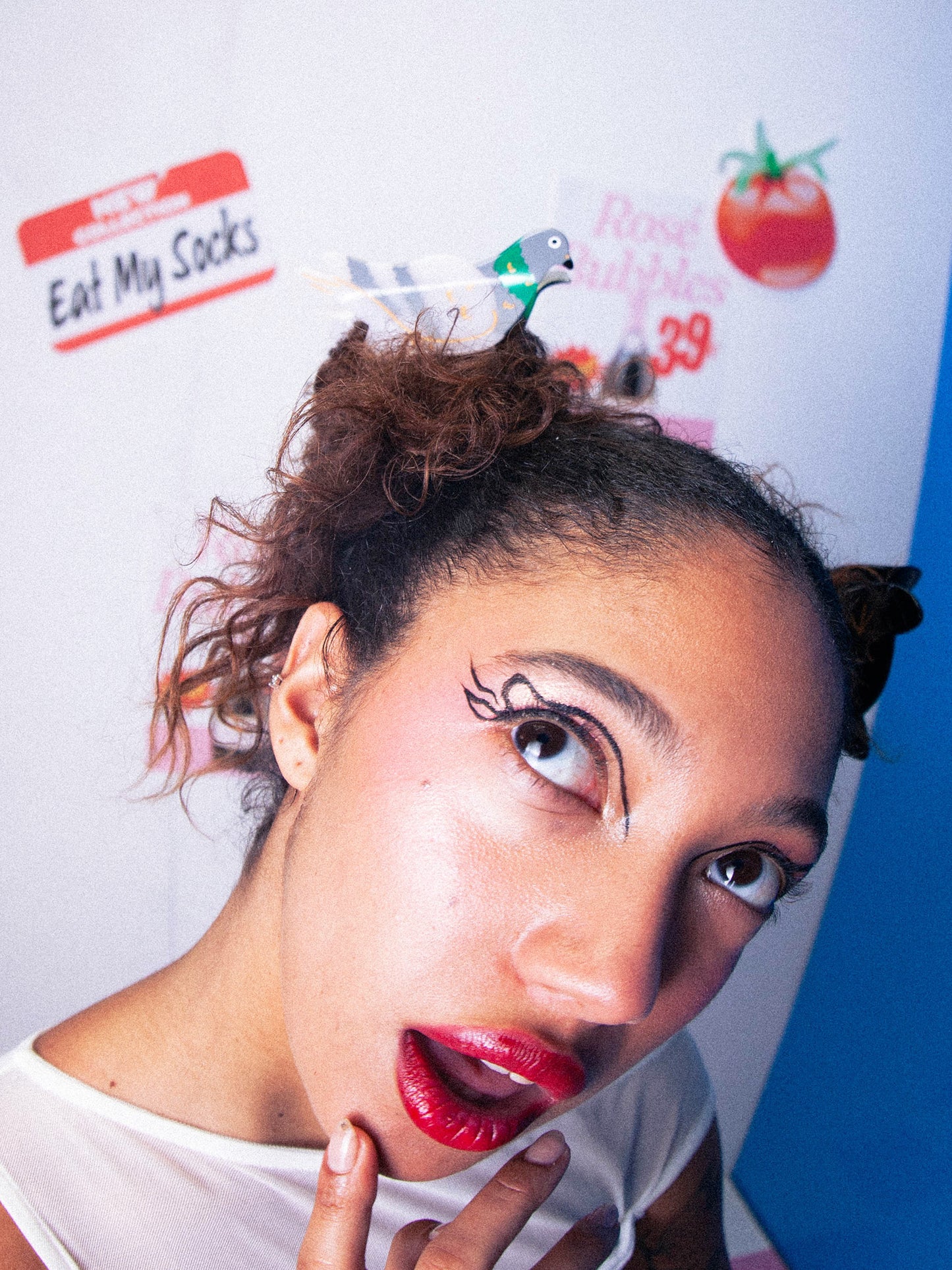 Pince À Cheveux Pigeon