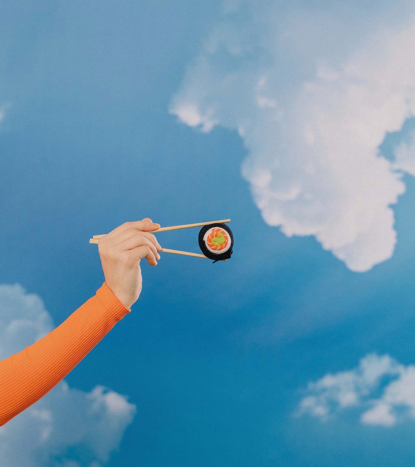 Chaussettes Salmon Maki