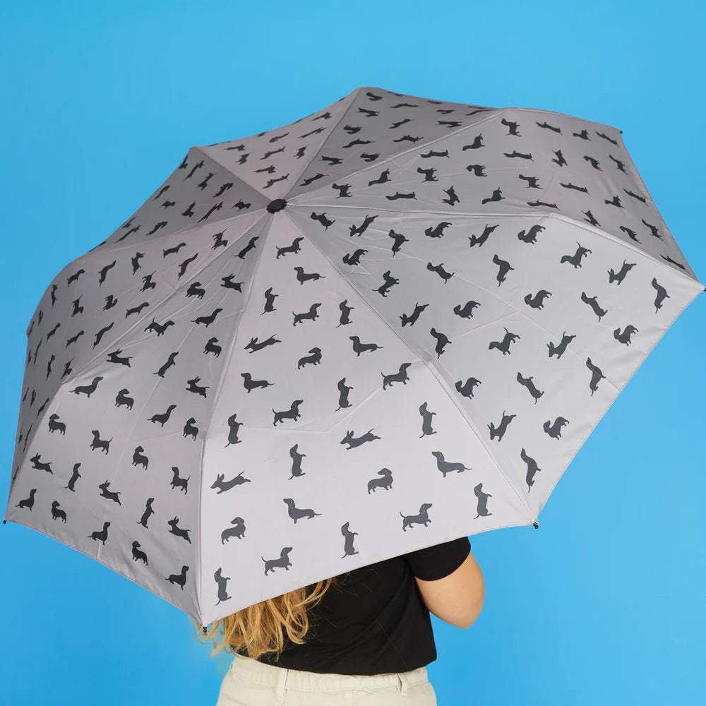 Parapluie Teckel - Gris