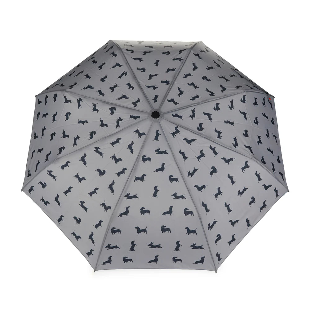 Parapluie Teckel - Gris