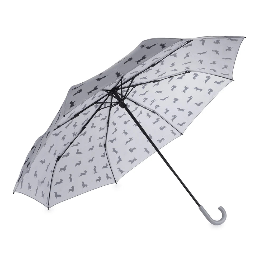 Parapluie Teckel - Gris