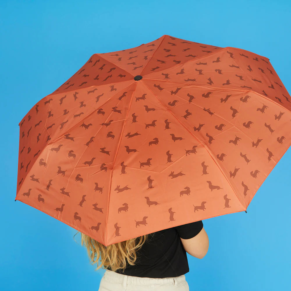 Parapluie Teckel - Marron