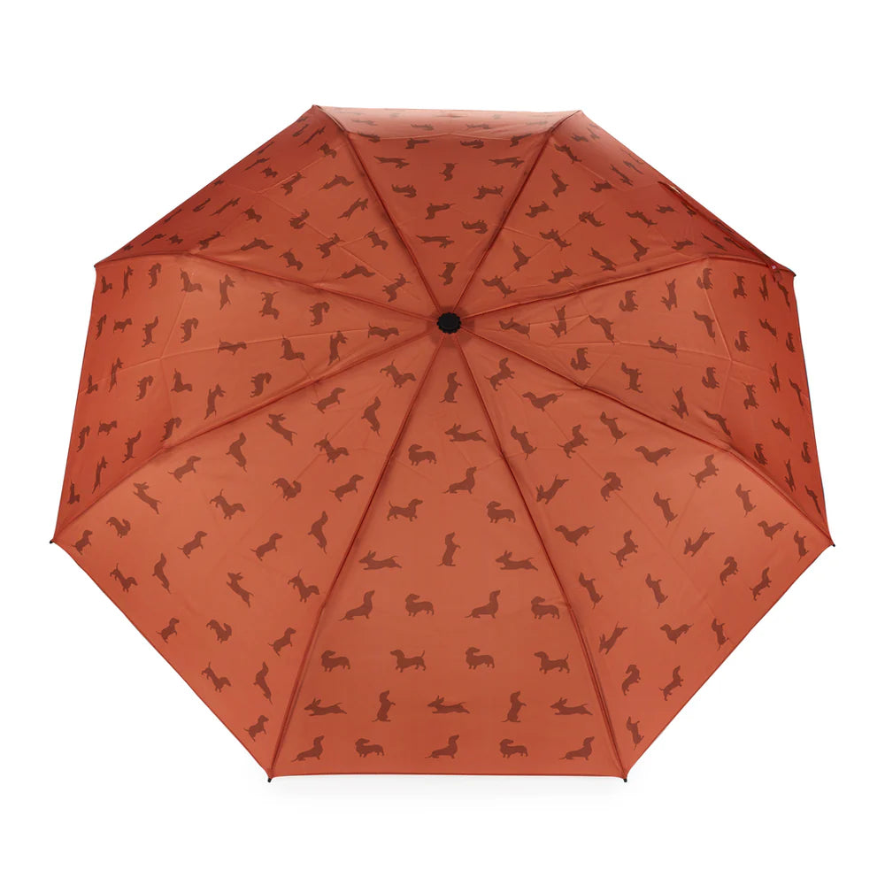 Parapluie Teckel - Marron