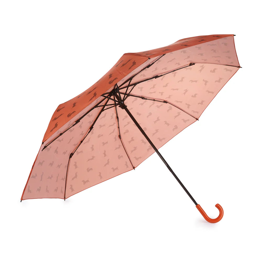 Parapluie Teckel - Marron