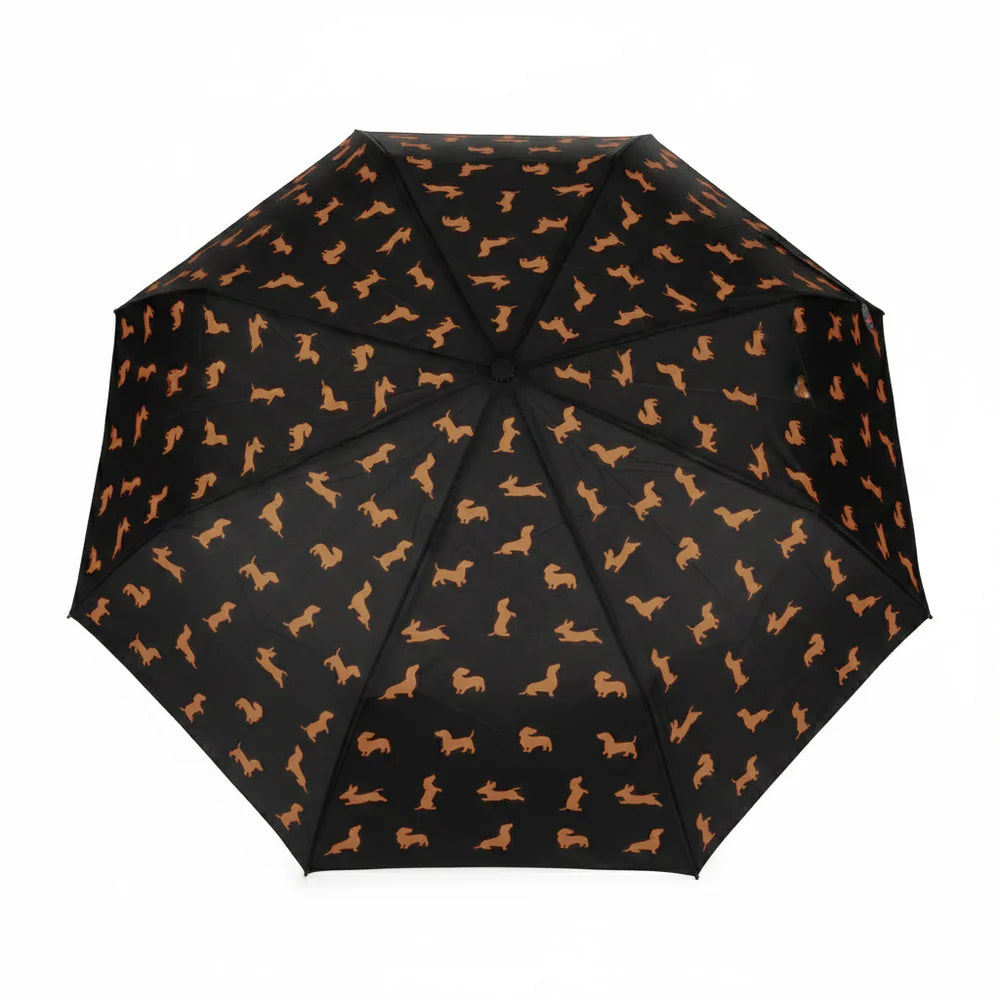 Parapluie Teckel - Noir