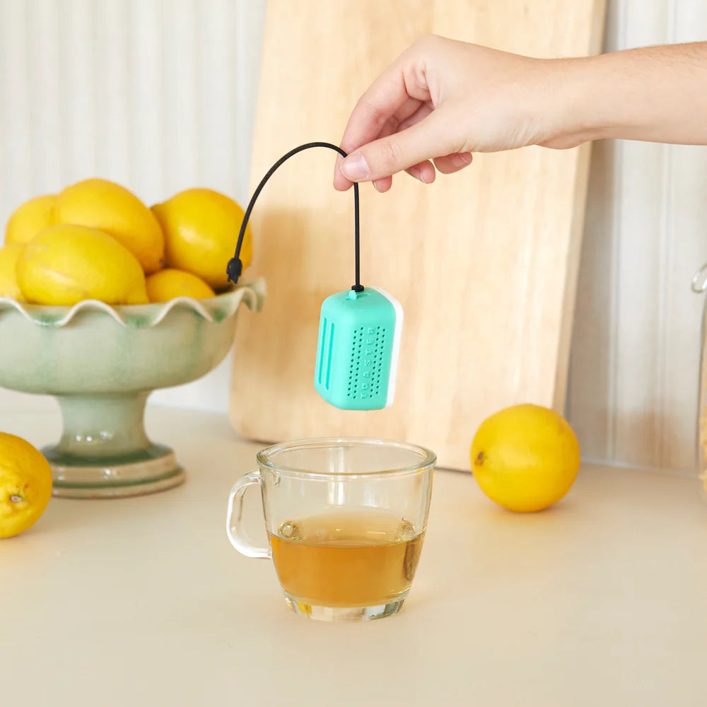 Infuseur Toasty