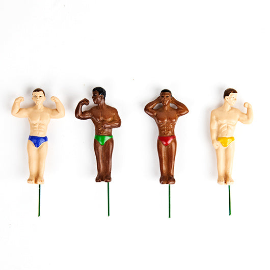 Décoration De Plante - Hunks