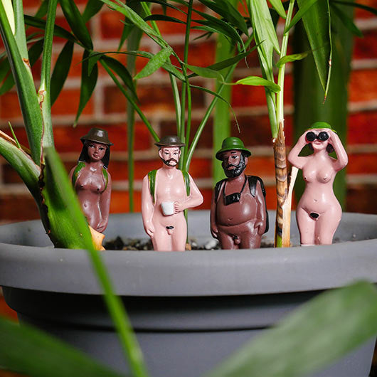 Décoration De Plante  - Naked Ramblers