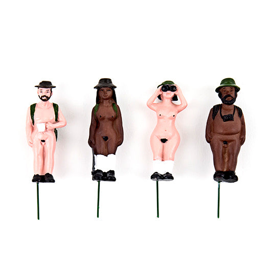 Décoration De Plante  - Naked Ramblers