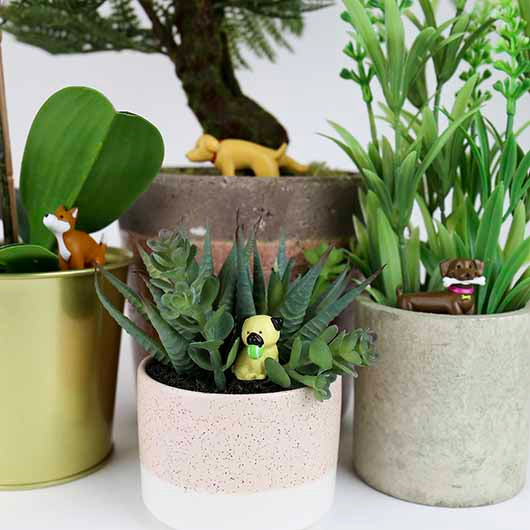Décoration De Plante - Adorable Dogs