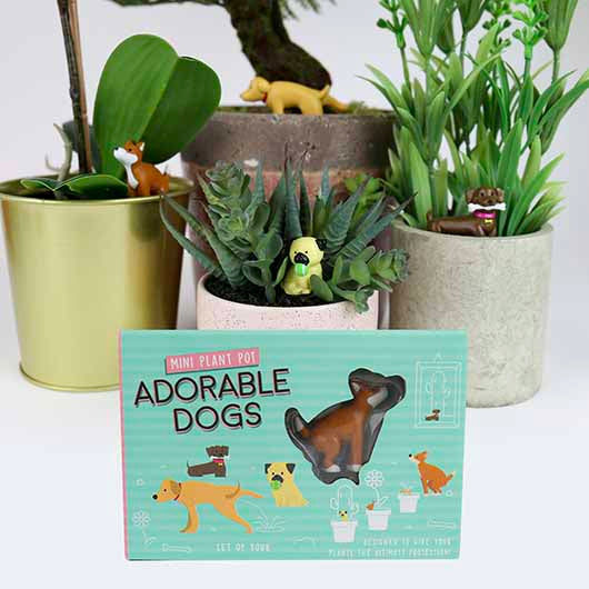 Décoration De Plante - Adorable Dogs