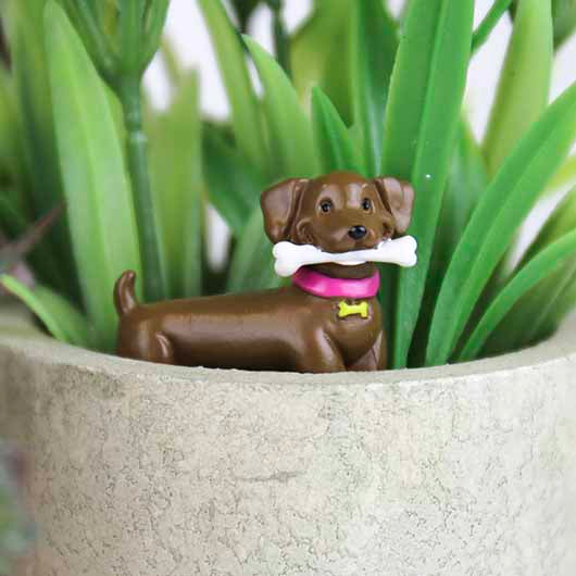 Décoration De Plante - Adorable Dogs