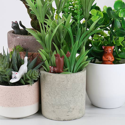 Décoration De Plante - Yoga Cats