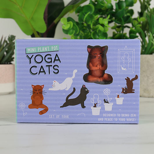 Décoration De Plante - Yoga Cats