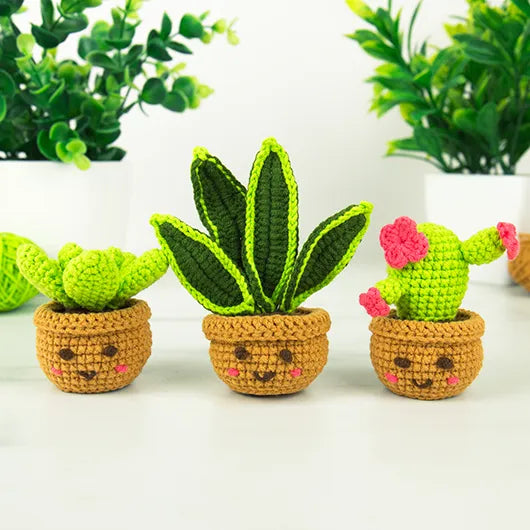 Kit Crochet Houseplants - Gift Republic